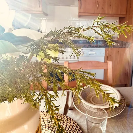 Apartamento Castros Rurales A *